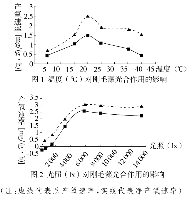 2021年高考生物全真模拟测试卷（文件编号：21031401）