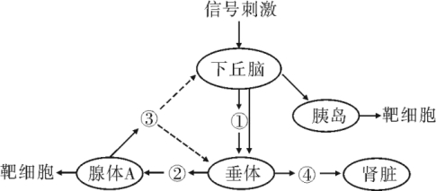 2021年高考生物全真模拟测试卷（文件编号：21031401）