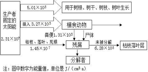 2021年高考生物全真模拟测试卷（文件编号：21031401）