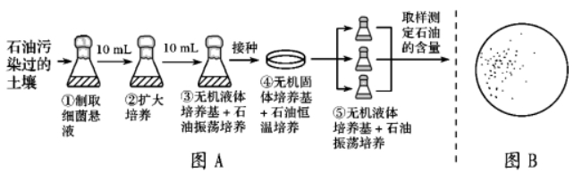 2021年高考生物全真模拟测试卷（文件编号：21031401）