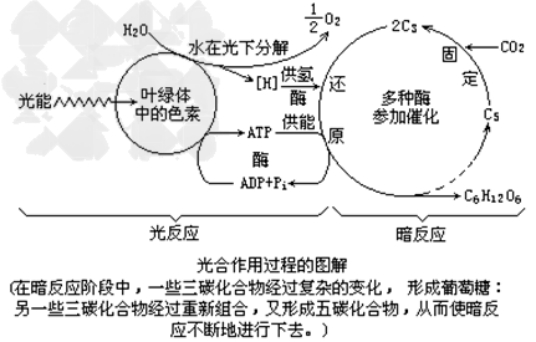 2021高考生物精选真题练习卷(文件编号：21031503）