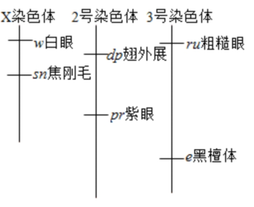 2021高考生物精选真题练习卷(文件编号：21031503）