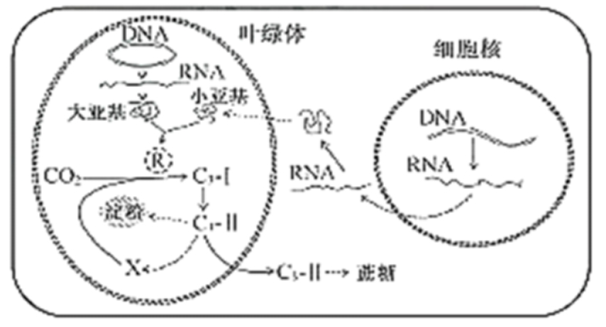 2021高考生物精选真题练习卷(文件编号：21031503）