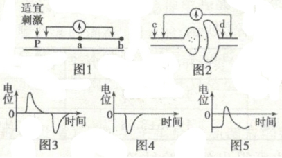 2021年人教版高考生物专题强化练习卷（文件编号：21031907）