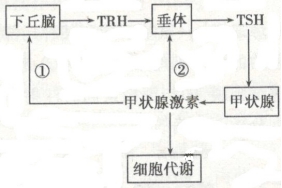 2021年人教版高考生物专题强化练习卷（文件编号：21031907）