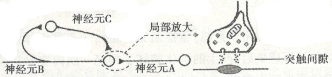 2021年人教版高考生物专题强化练习卷（文件编号：21031907）