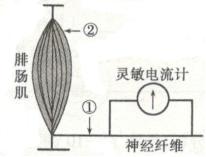 2021年人教版高考生物专题强化练习卷（文件编号：21031907）