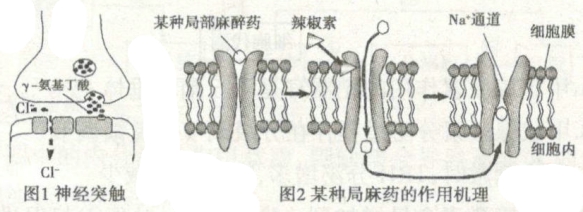 2021年人教版高考生物专题强化练习卷（文件编号：21031907）