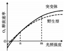 2021年高考生物模拟练习卷（文件编号：21032005）