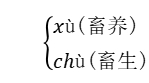 2021年部编版六年级语文下册期中知识点复习归纳（文件编号：21032603）