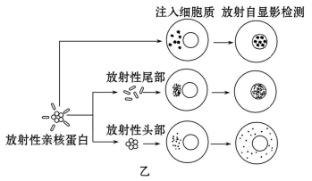 高考生物一轮复习阶段评估检测带答案（文件编号：21040103）