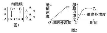 高考生物一轮复习阶段评估检测带答案（文件编号：21040103）