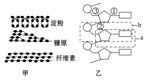 高考生物一轮复习阶段评估检测带答案（文件编号：21040103）