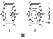 高考生物一轮复习阶段评估检测带答案（文件编号：21040103）