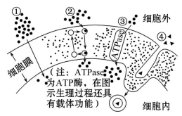 高考生物一轮复习阶段评估检测带答案（文件编号：21040103）