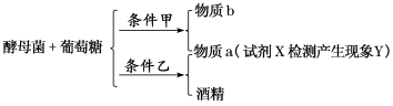 高考生物一轮复习课下达标检测带答案（文件编号：21040104）