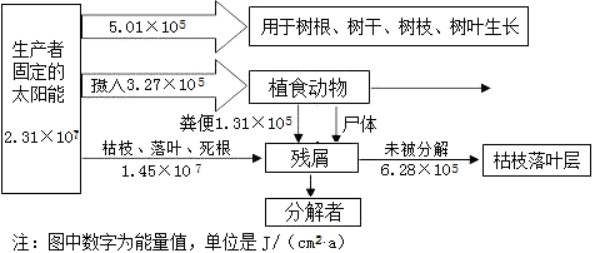 高考生物总复习模拟信息卷及参考答案（文件编号：21040306）