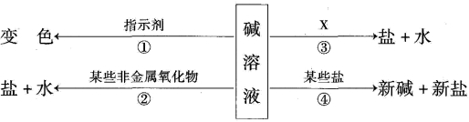 2021年中考化学一轮复习考点讲解（附解析）（文件编号：21040303）