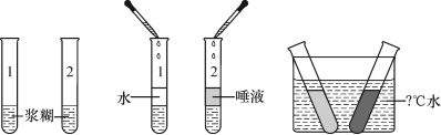 中考生物教材考点梳理课时复习含答案（文件编号：21041102）