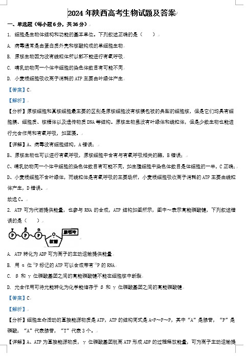 2024年陕西高考生物试题及答案(Word版)
