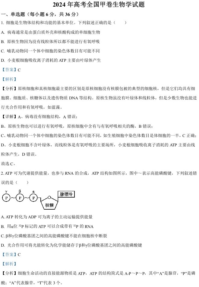 2024年高考生物试卷（全国甲卷）（解析卷） (5)