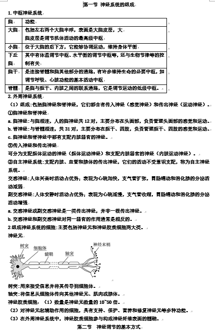 第2章 神经调节 期末复习知识点总结【新教材】人教版高中生物选择性必修一OK