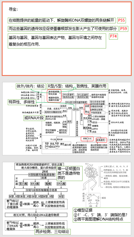 2025届高三二轮复习+课件+小专题6+基因的本质与表达