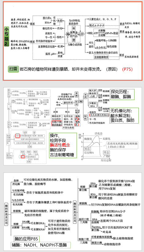2025届高三生物专题复习：+小专题2+酶与ATP