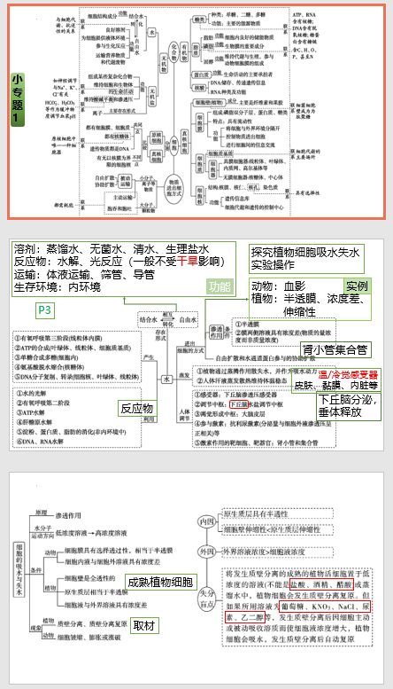 +2025届高三生物二轮复习课件：小专题1++细胞的分子组成与结构、物质运输