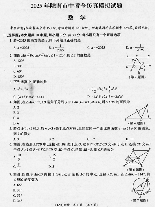 2025年甘肃省陇南市九年级中考模拟考试数学试题