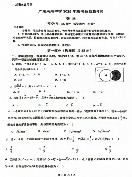 广东省阳江市广东两阳中学2025届高三高考适应性考试数学试题 广东省阳江市广东两阳中学2025届高三高考适应性考试数学试题