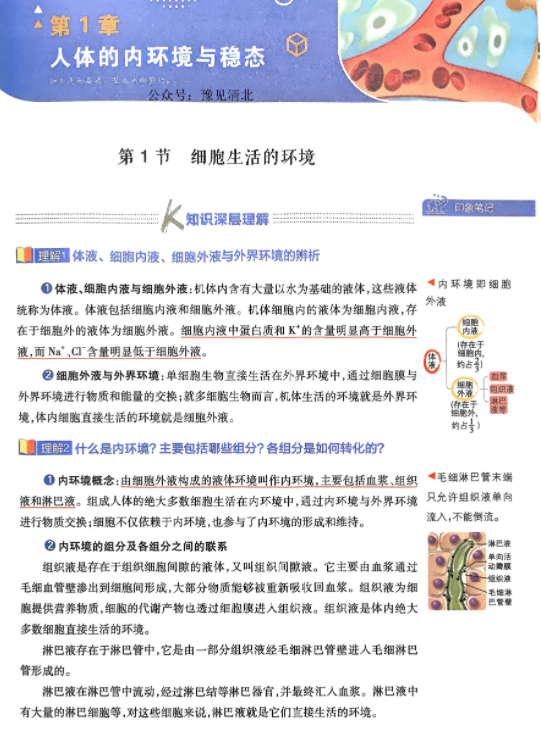 2026版高中必刷题生物选修1狂K重点