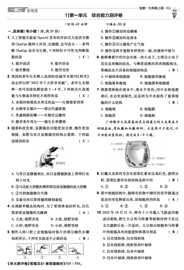 2025七上生物RJ《一遍过》试卷