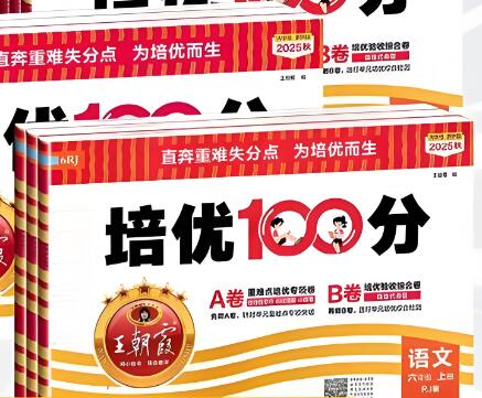 2024春+2025秋《王朝霞培优100分》PDF电子版下载