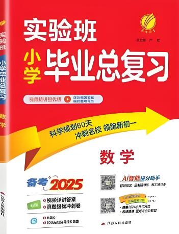 2024版《实验班小学毕业总复习》电子版下载打印