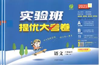 2022秋-2025秋《实验班提优大考卷》电子版下载打印 2022秋-2025秋《实验班提优大考卷》电子版下载打印